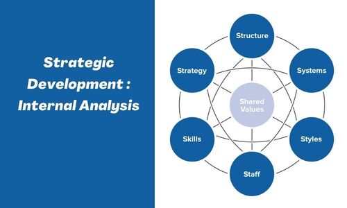 Strategic Development : Internal Analysis | COGNOSCENTI CONSULTING ...